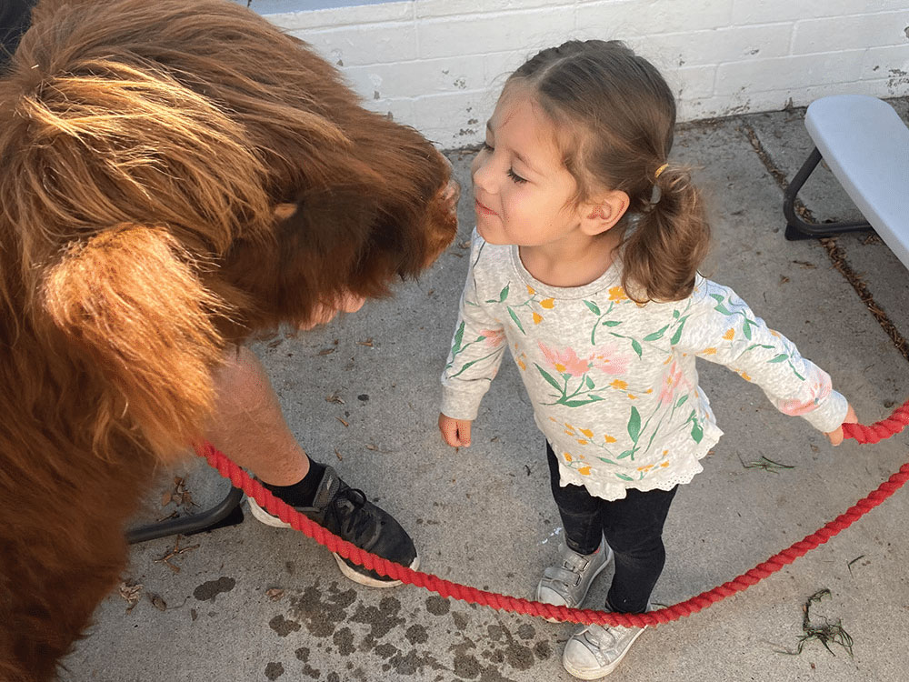 Petting Zoo Visits Nurture Their Love For Animals